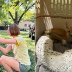 Hitting All the Right Notes: Nashville Songwriter Jerry Vandiver Trades Guitar Strings for Fox Rescue