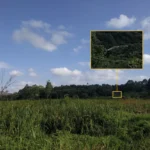 The Digital Surveyor: Can AI Truly Master the Art of Geolocation?
