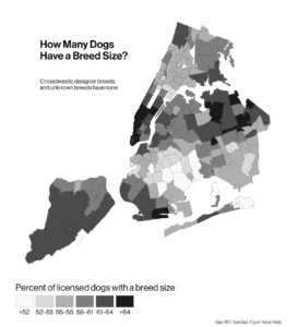 The Economics of Canines: New Data Reveals Wealth—Not Space—Drives Dog Size Across New York City ZIP Codes